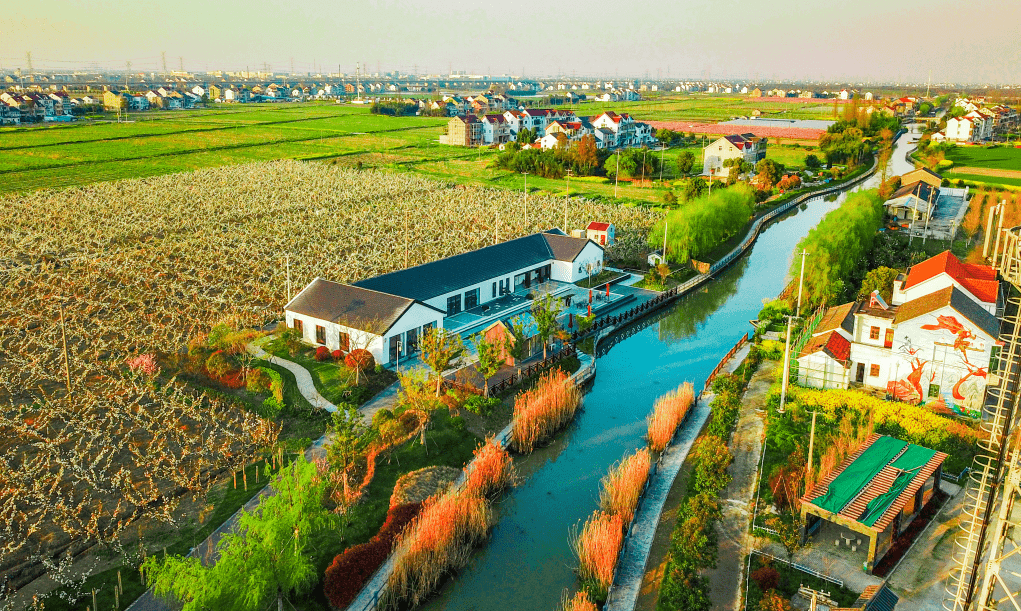 內(nèi)蒙古：關于做好 2023年全面推進鄉(xiāng)村振興重點工作的實施意見