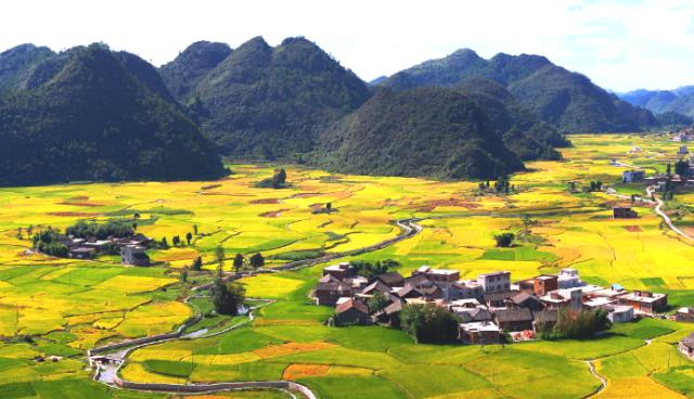 生態(tài)環(huán)境部、農(nóng)業(yè)農(nóng)村部發(fā)布《關(guān)于進一步推進農(nóng)村生活污水治理的指導(dǎo)意見》