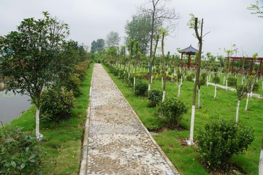 福建省生態(tài)環(huán)境廳、農(nóng)業(yè)農(nóng)村廳關(guān)于進(jìn)一步加強(qiáng)農(nóng)村生活污水治理工作的通知！